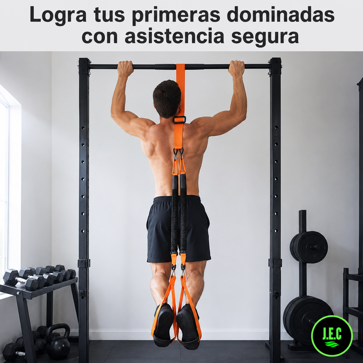 Bandas de Resistencia para Dominadas Asistidas en Casa