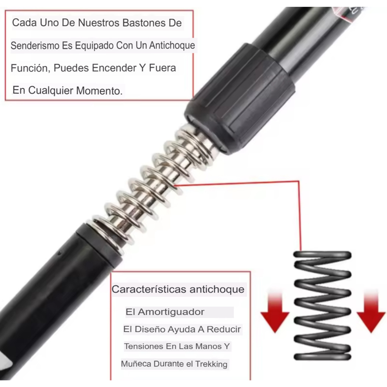 Bastón Senderismo 2 Tramos Adaptativo Anti-shock Aluminio