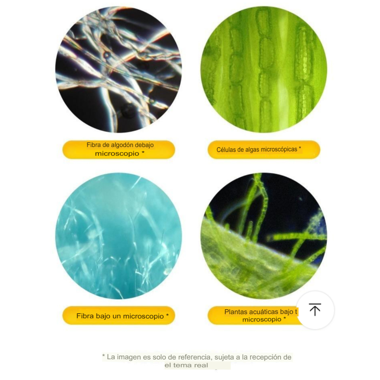 Microscopio Portátil Educativo 60x120x Con Accesorios