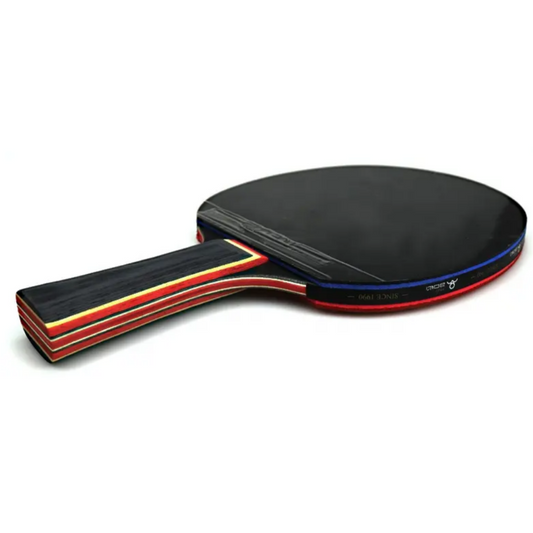 Kit de 2 Paletas de Ping Pong + Malla + 4 pelotas + estuche