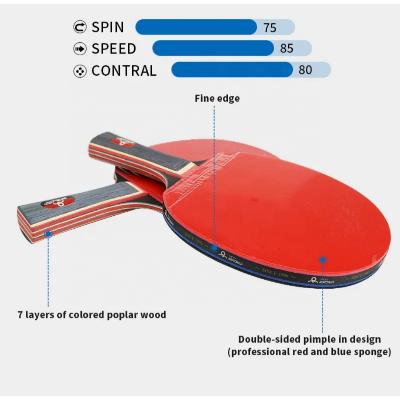 Kit de 2 Paletas de Ping Pong + Malla + 4 pelotas + estuche