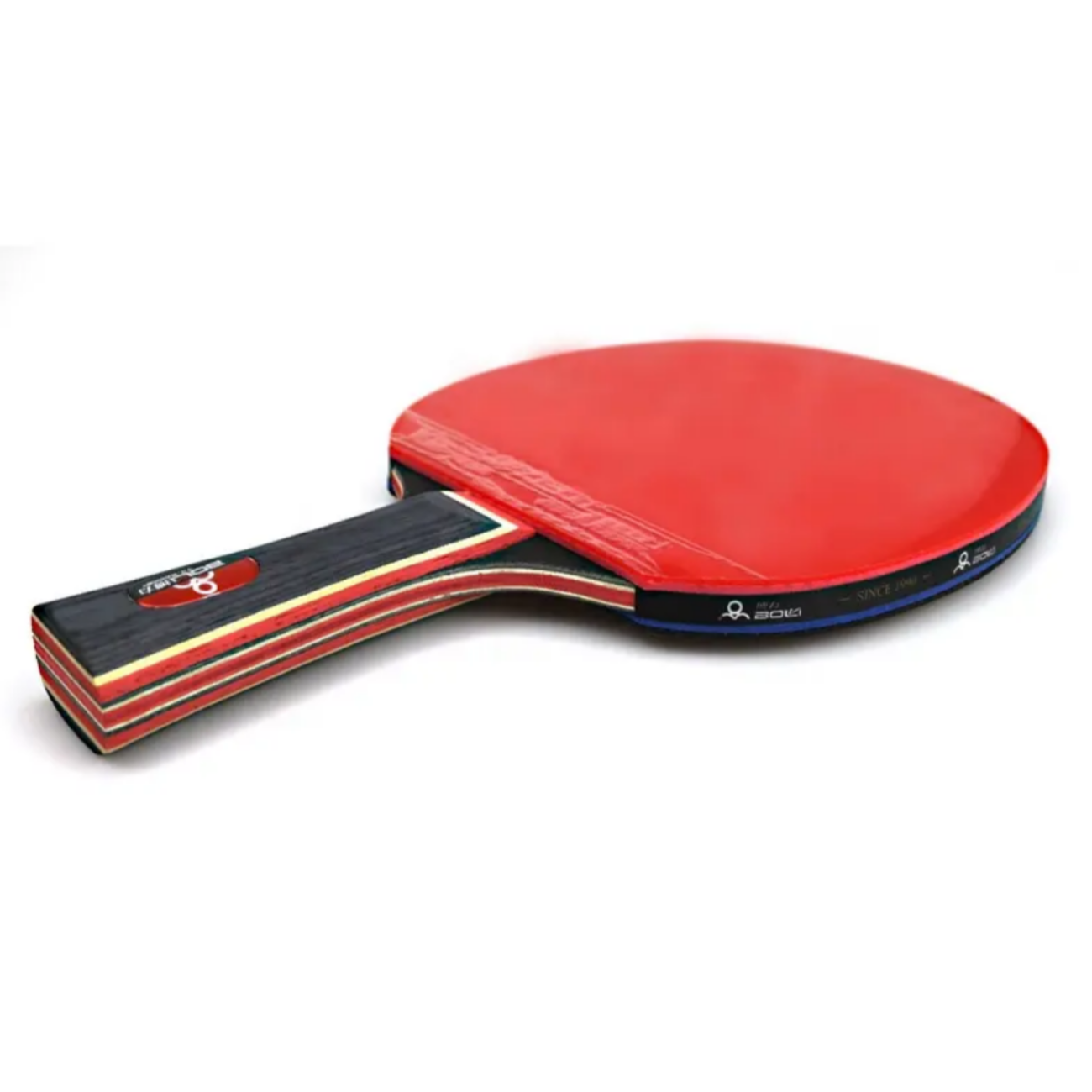 Kit de 2 Paletas de Ping Pong + Malla + 4 pelotas + estuche